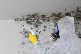 Best Asbestos and Lead Testing During Mold Inspection  in Northwest Harbor, NY